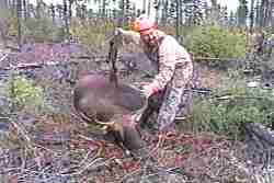 Hunter with his moose