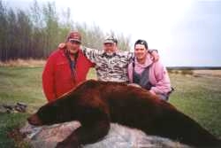 Bear
