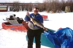 Walleye