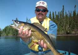 Walleye