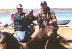 Bear