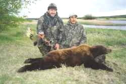 Bear