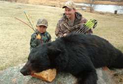 Bear