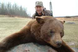 Bear